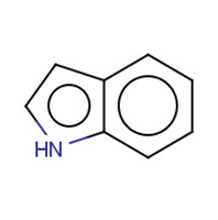 Indole